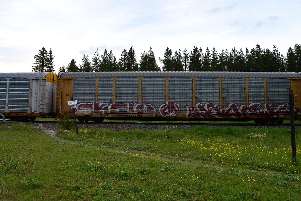 DSC_3165.JPG