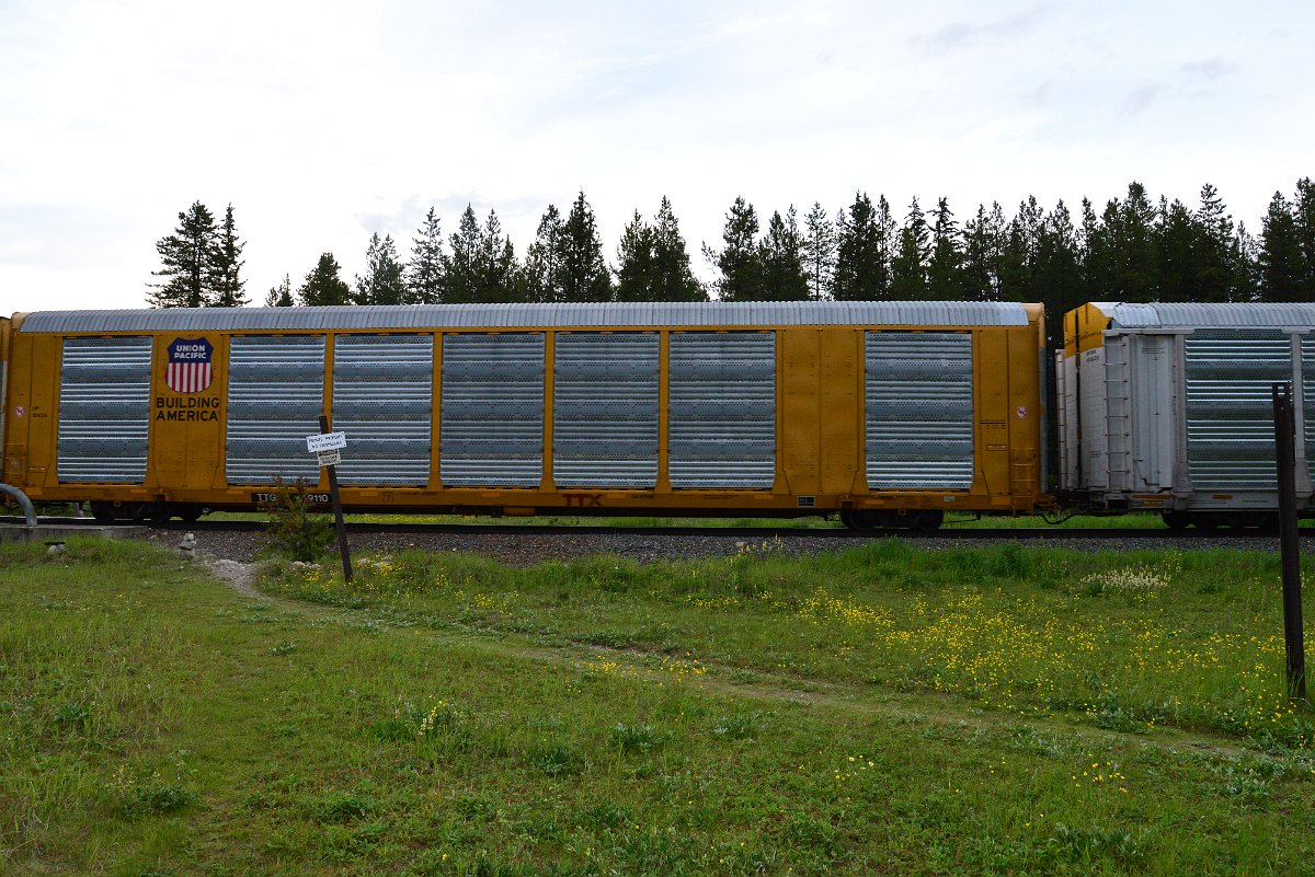 DSC_3168.JPG
