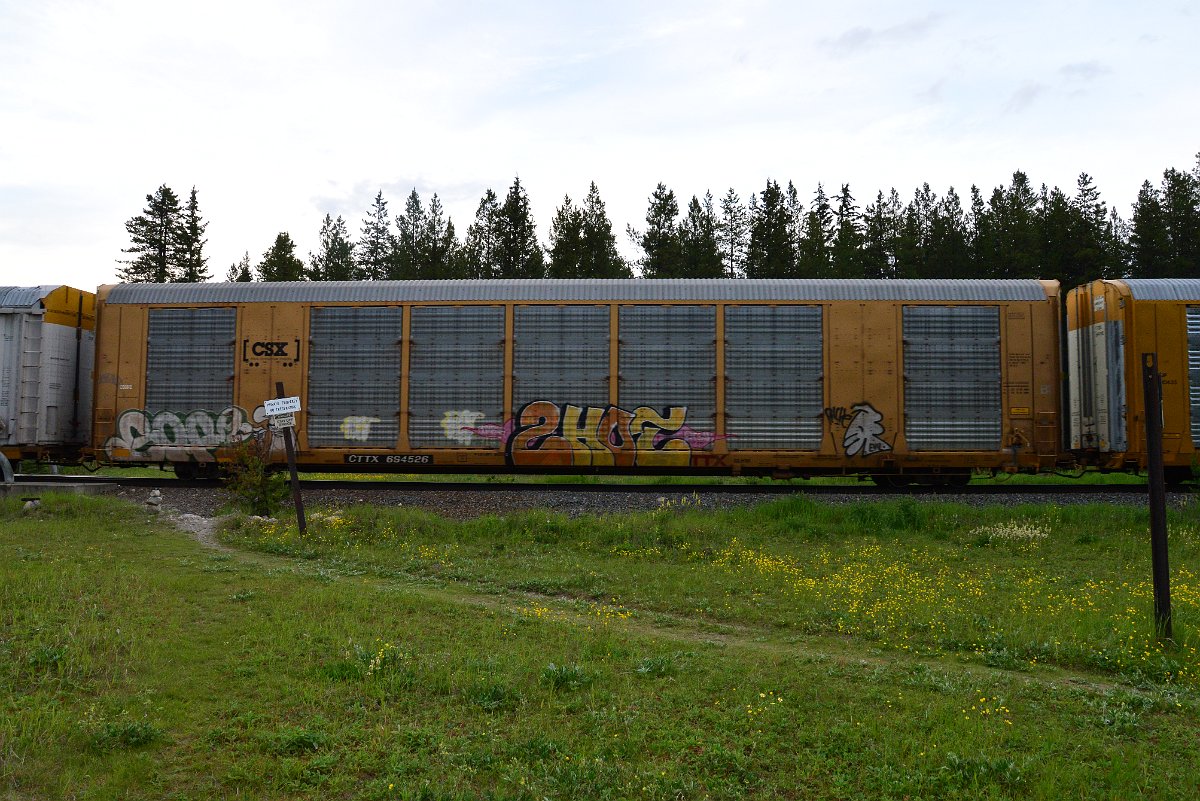 DSC_3169.JPG