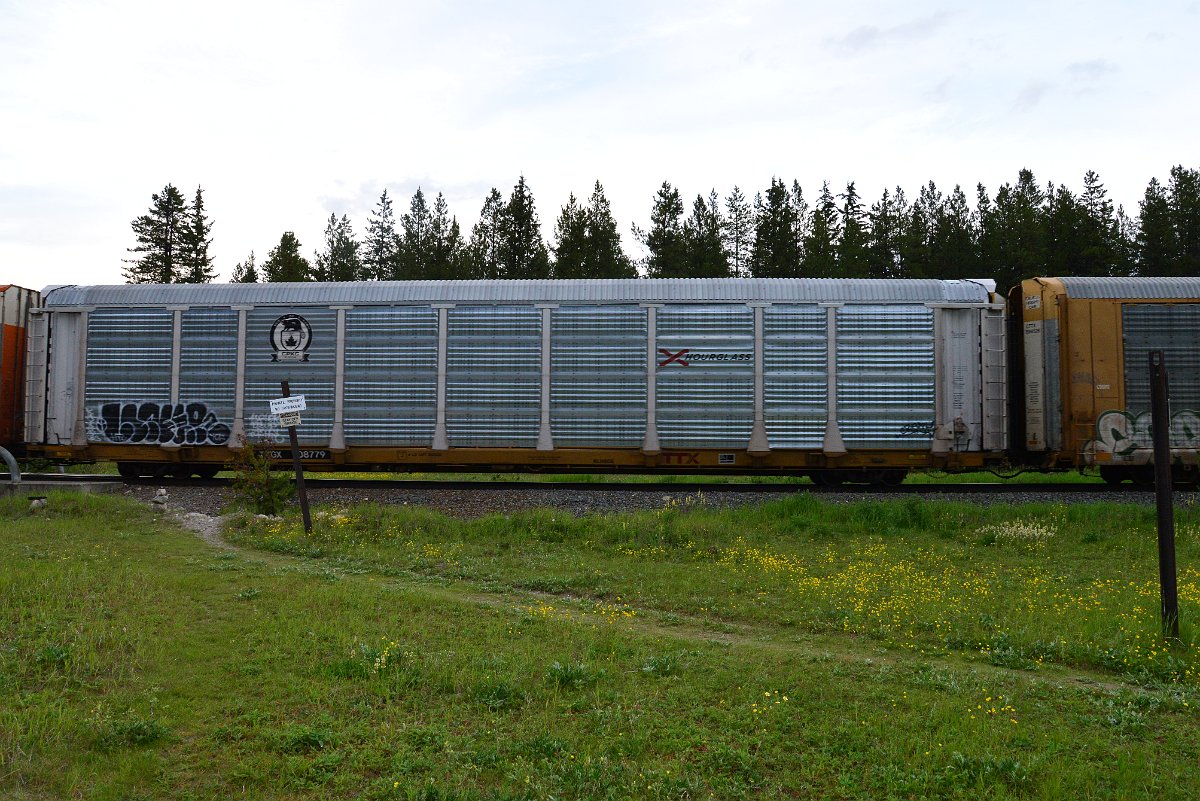 DSC_3170.JPG