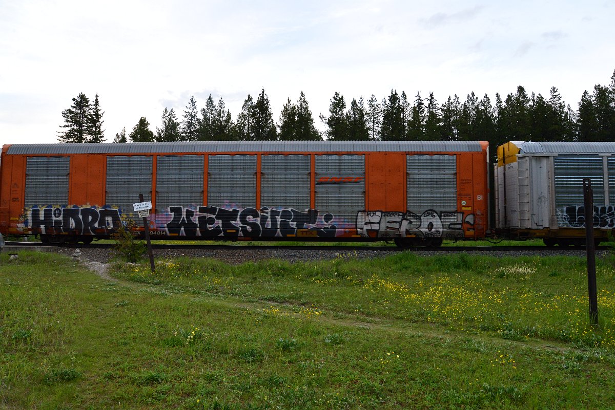 DSC_3171.JPG
