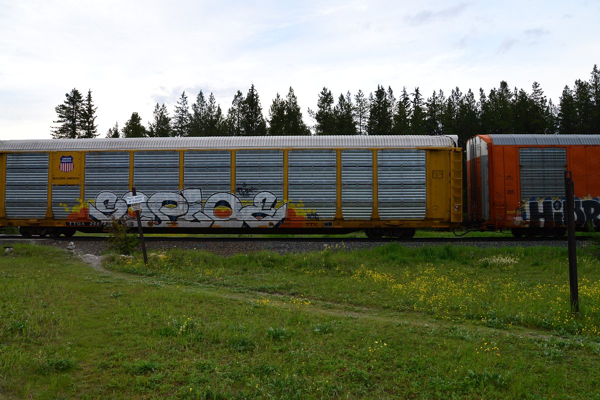 DSC_3172.JPG