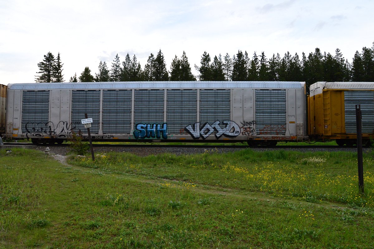 DSC_3173.JPG