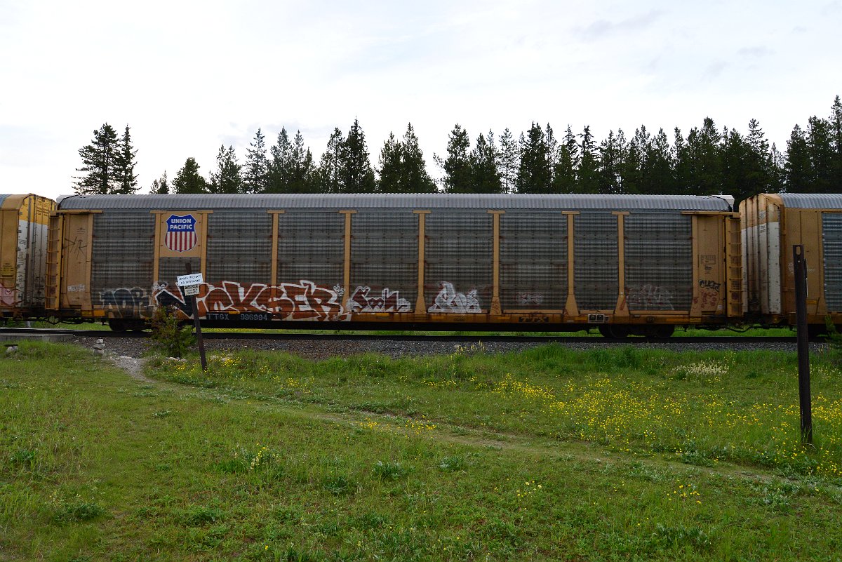 DSC_3175.JPG