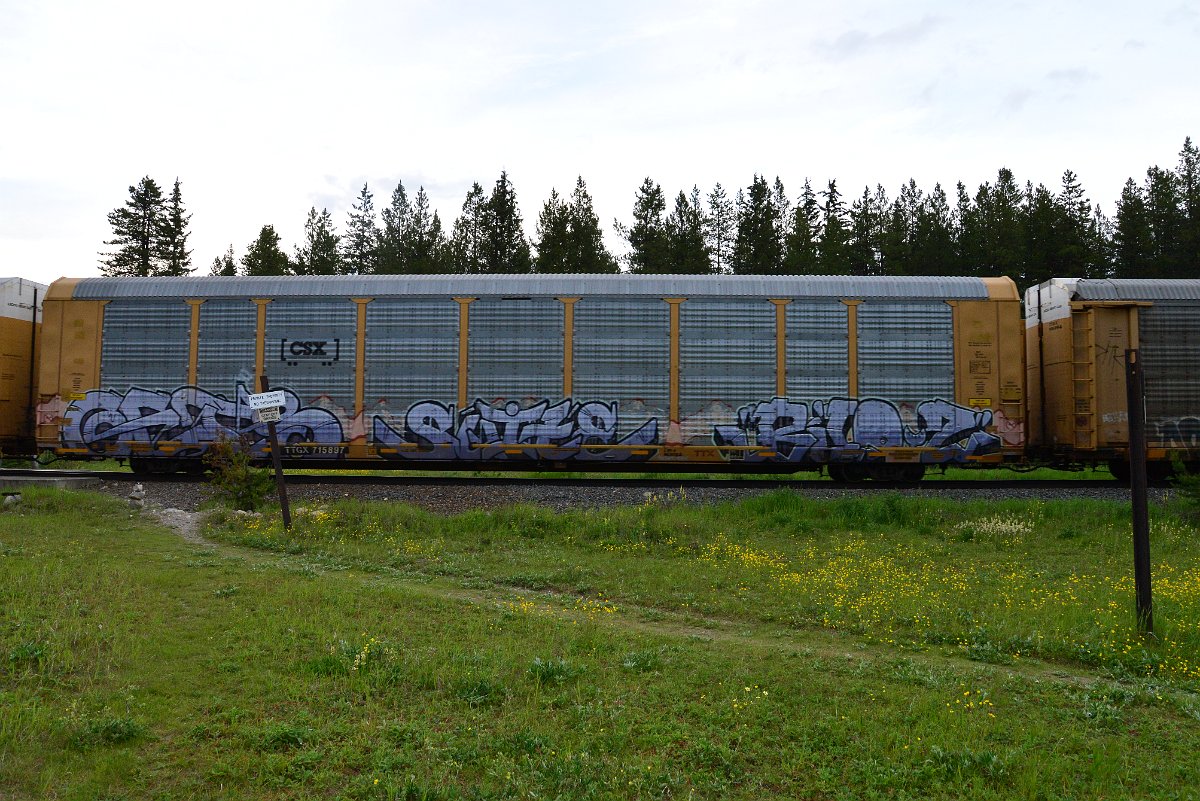 DSC_3176.JPG