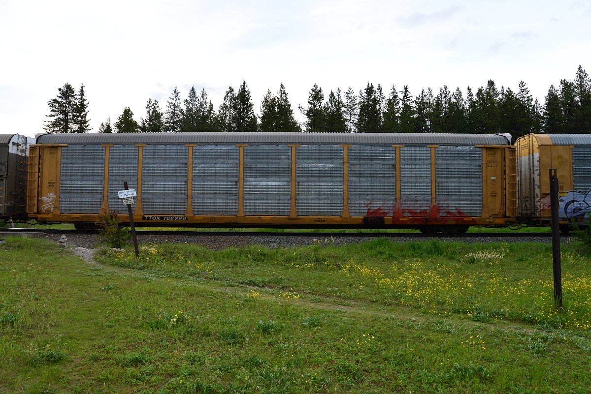 DSC_3177.JPG