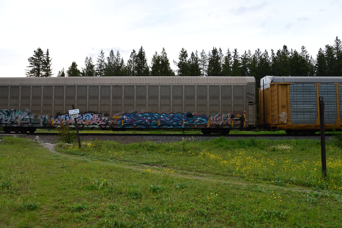 DSC_3178.JPG