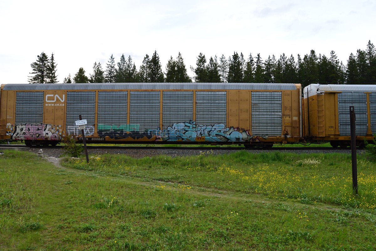 DSC_3180.JPG