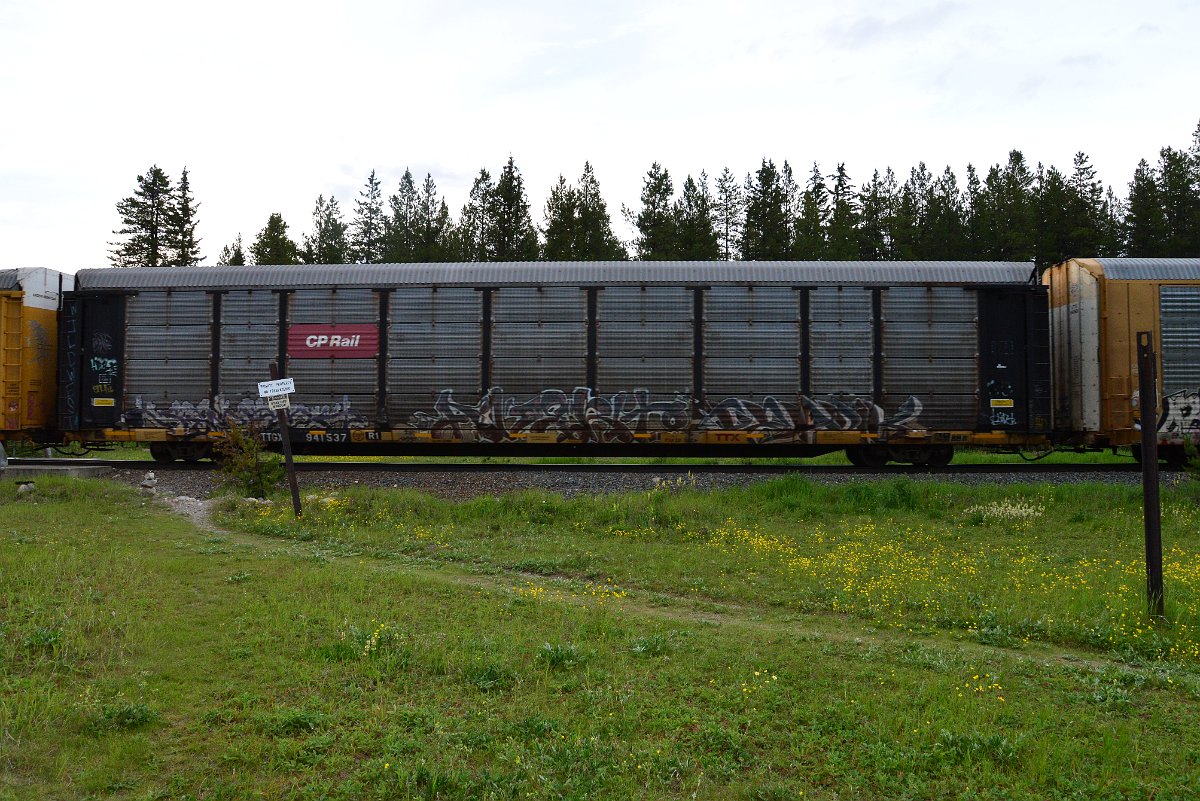 DSC_3181.JPG