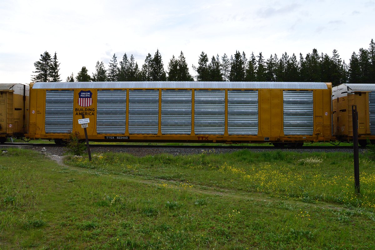 DSC_3184.JPG