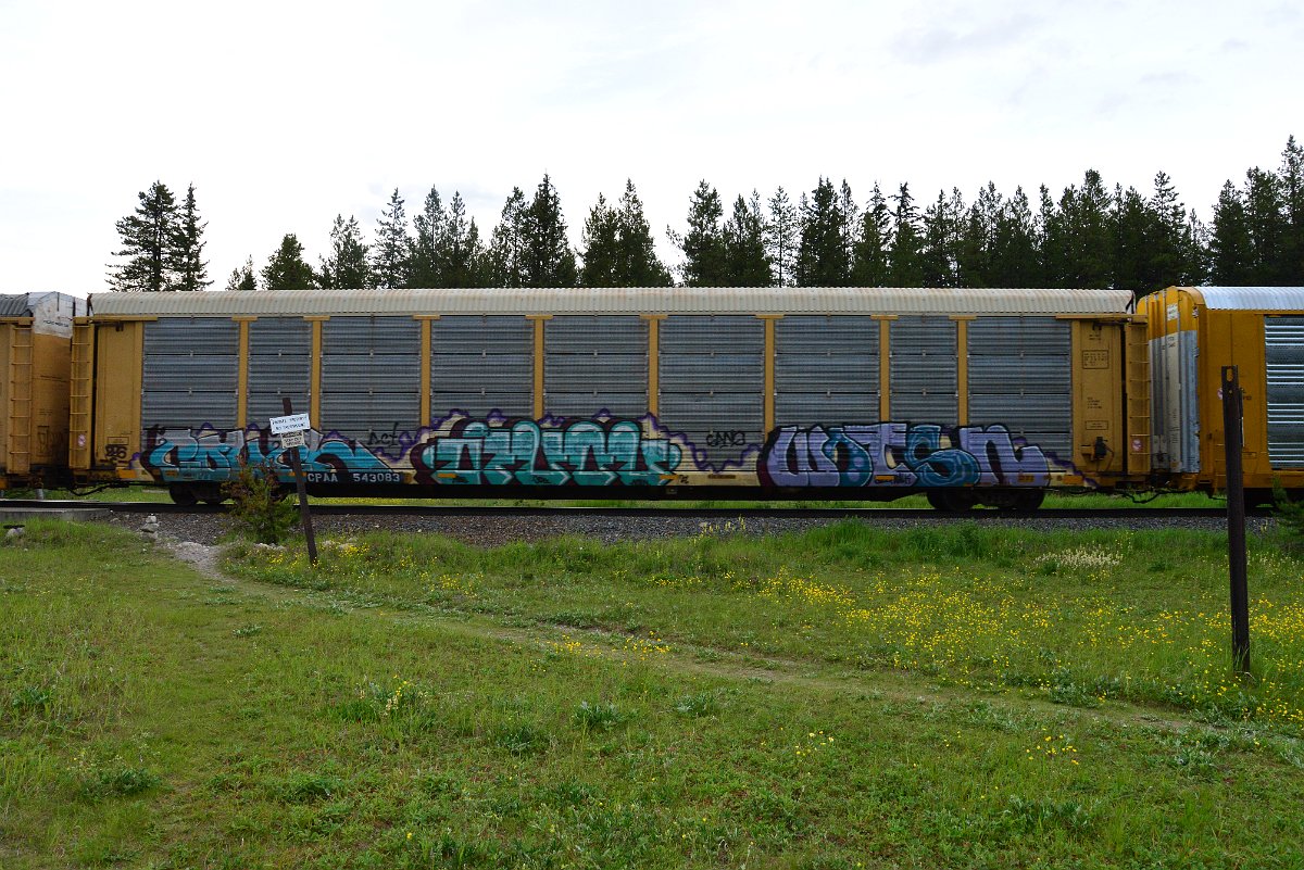 DSC_3185.JPG
