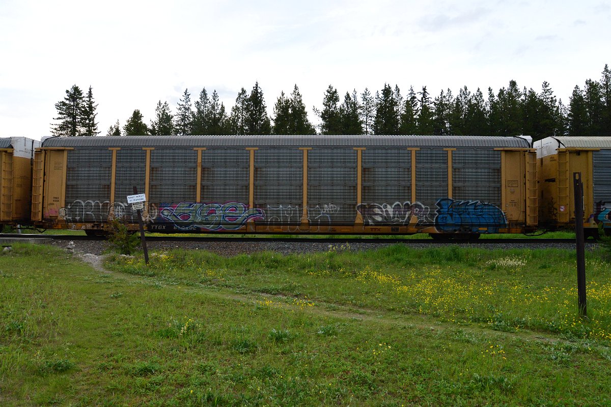 DSC_3186.JPG