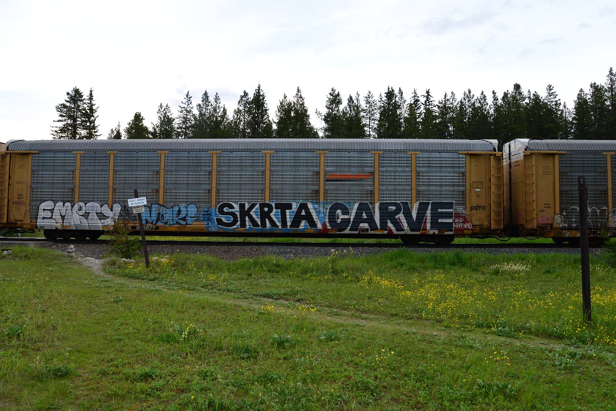 DSC_3187.JPG
