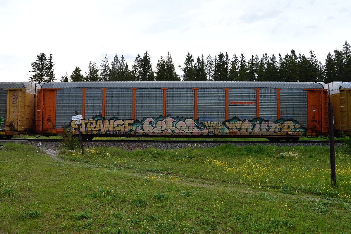 DSC_3190.JPG