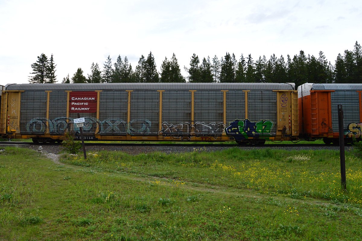 DSC_3191.JPG