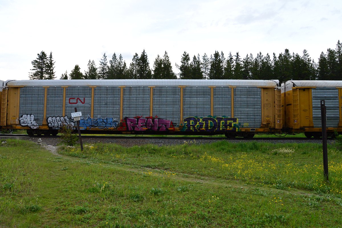 DSC_3194.JPG