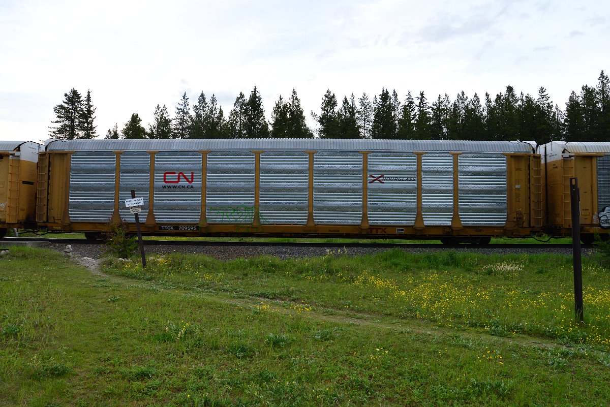 DSC_3195.JPG