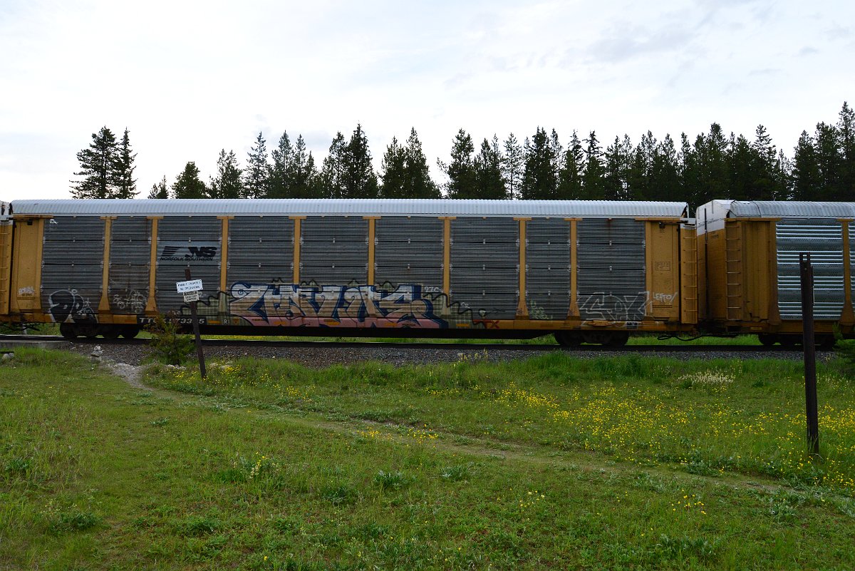 DSC_3196.JPG