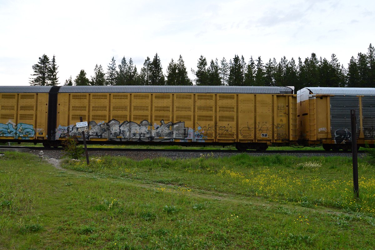 DSC_3197.JPG