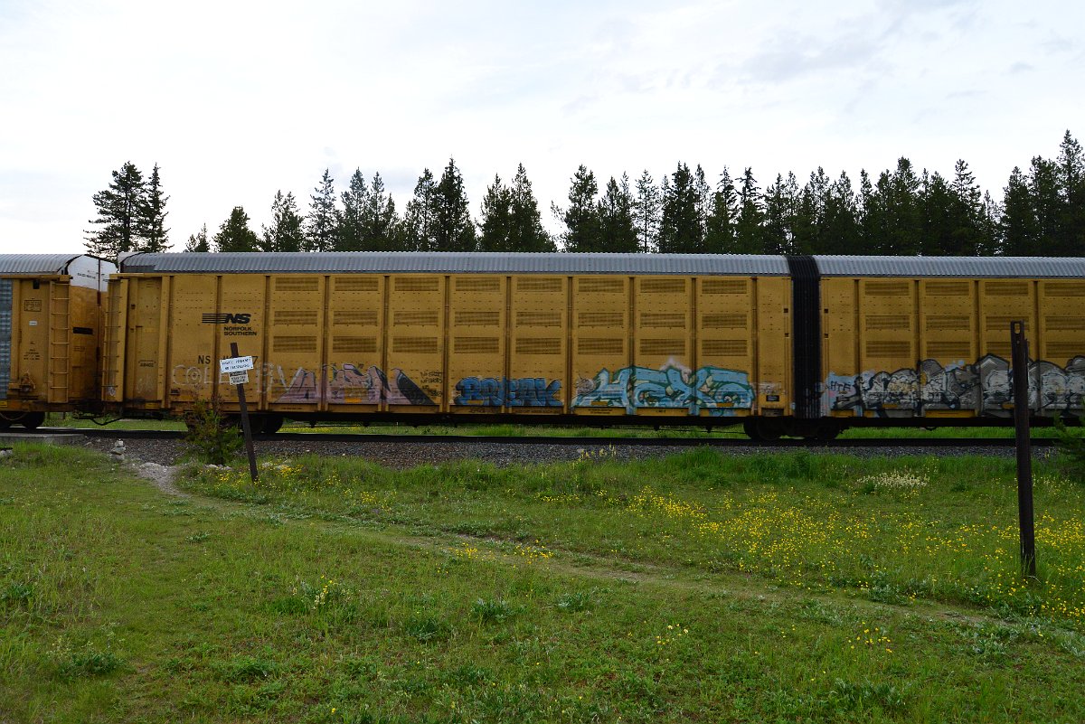 DSC_3198.JPG