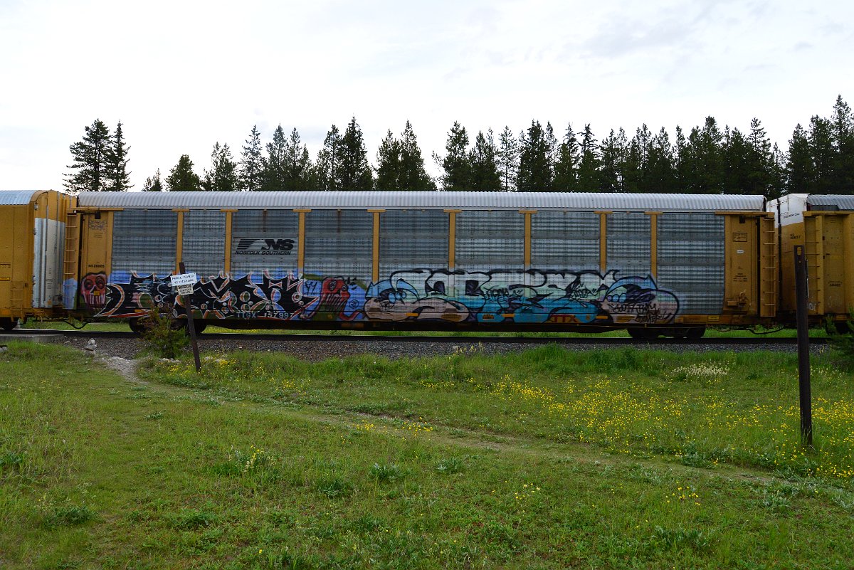 DSC_3199.JPG