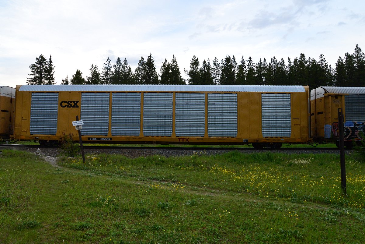 DSC_3200.JPG