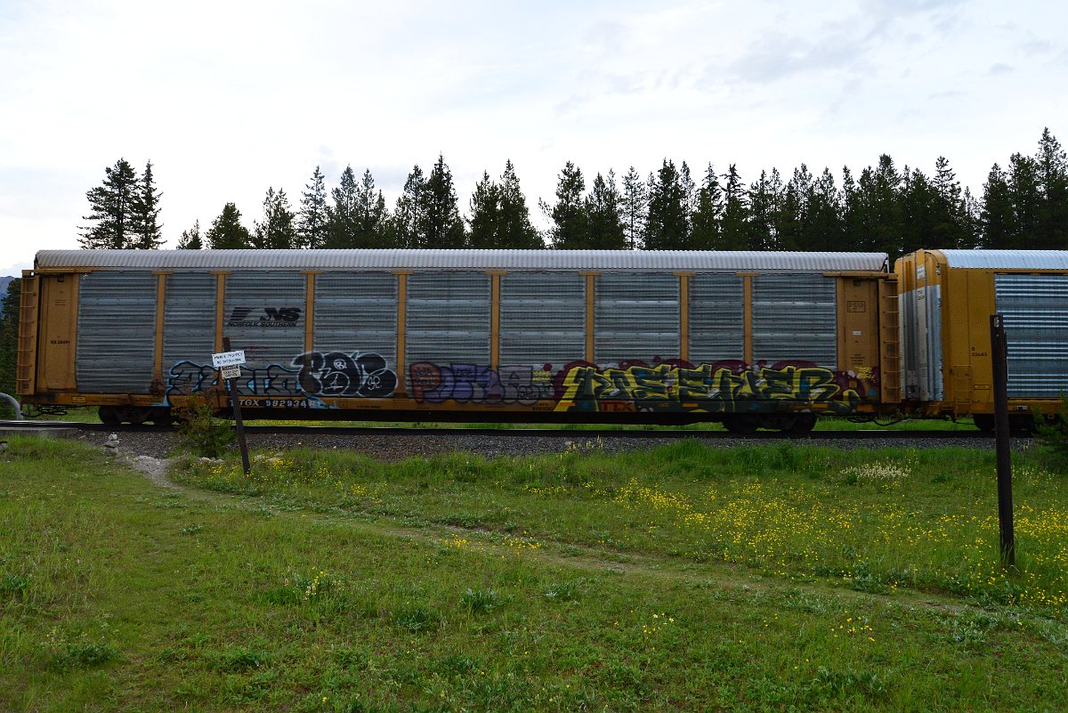 DSC_3201.JPG