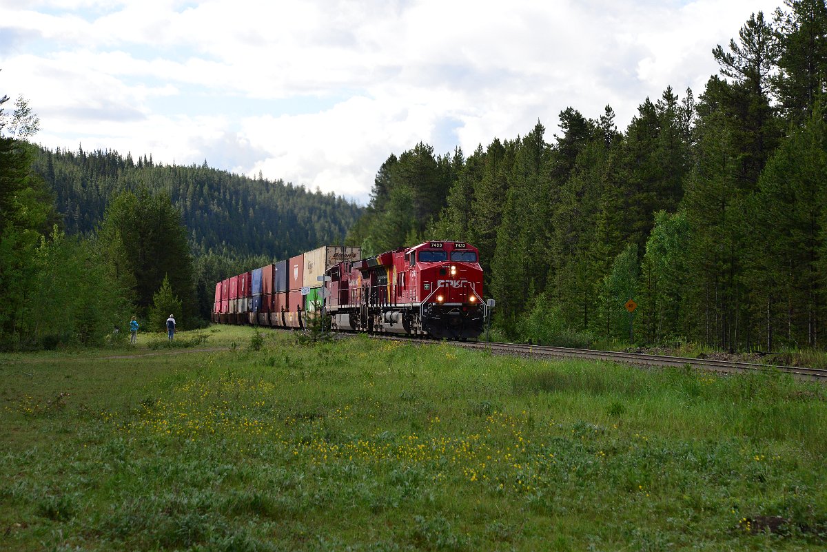 DSC_3235.JPG