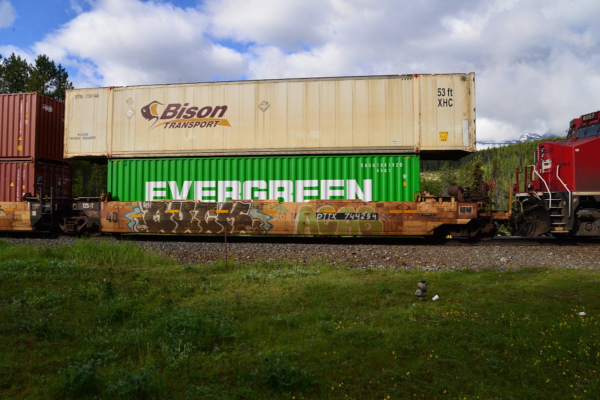 DSC_3241.JPG