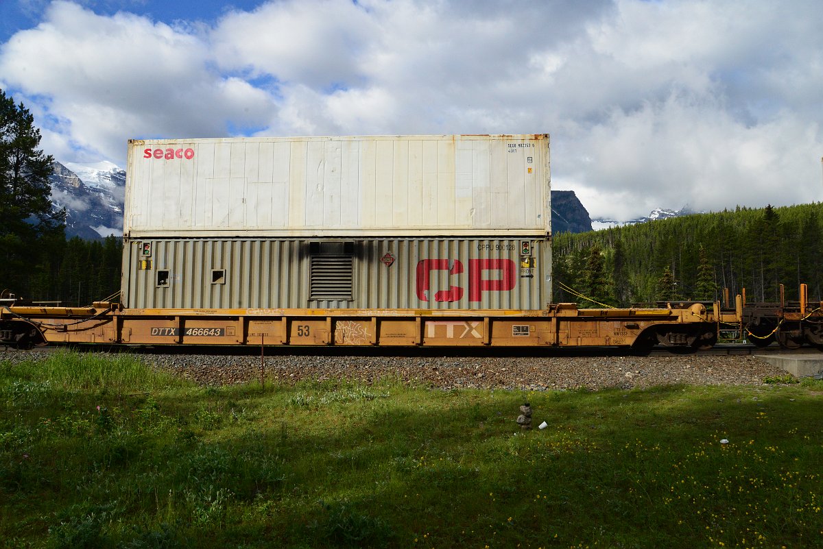 DSC_3264.JPG