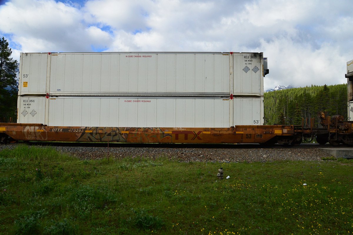 DSC_3271.JPG