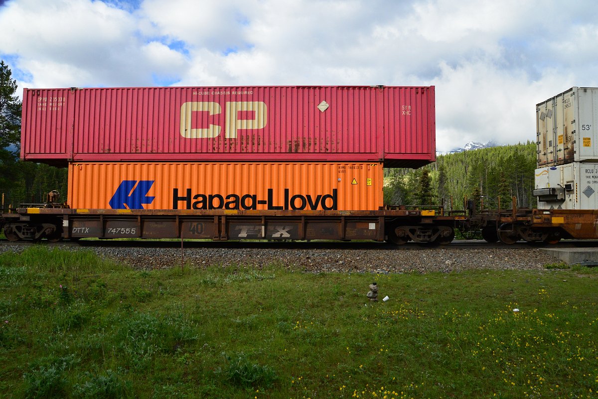 DSC_3272.JPG