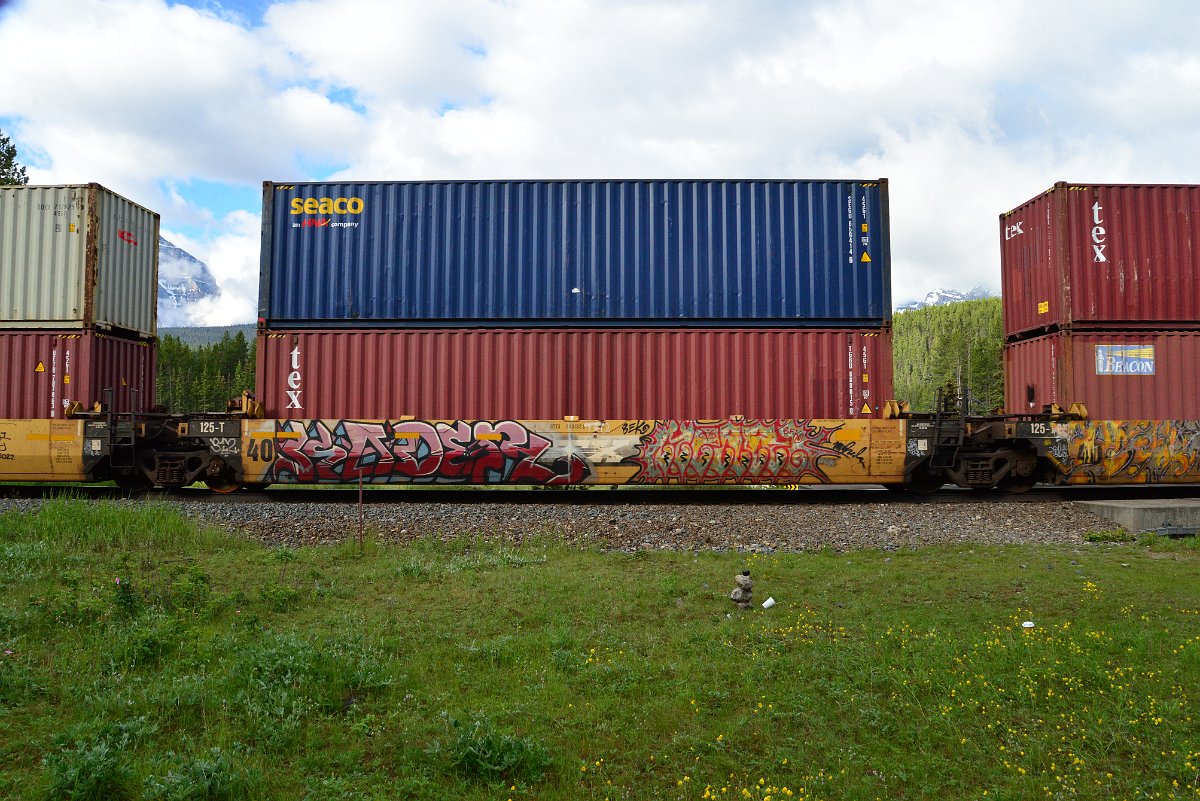DSC_3277.JPG
