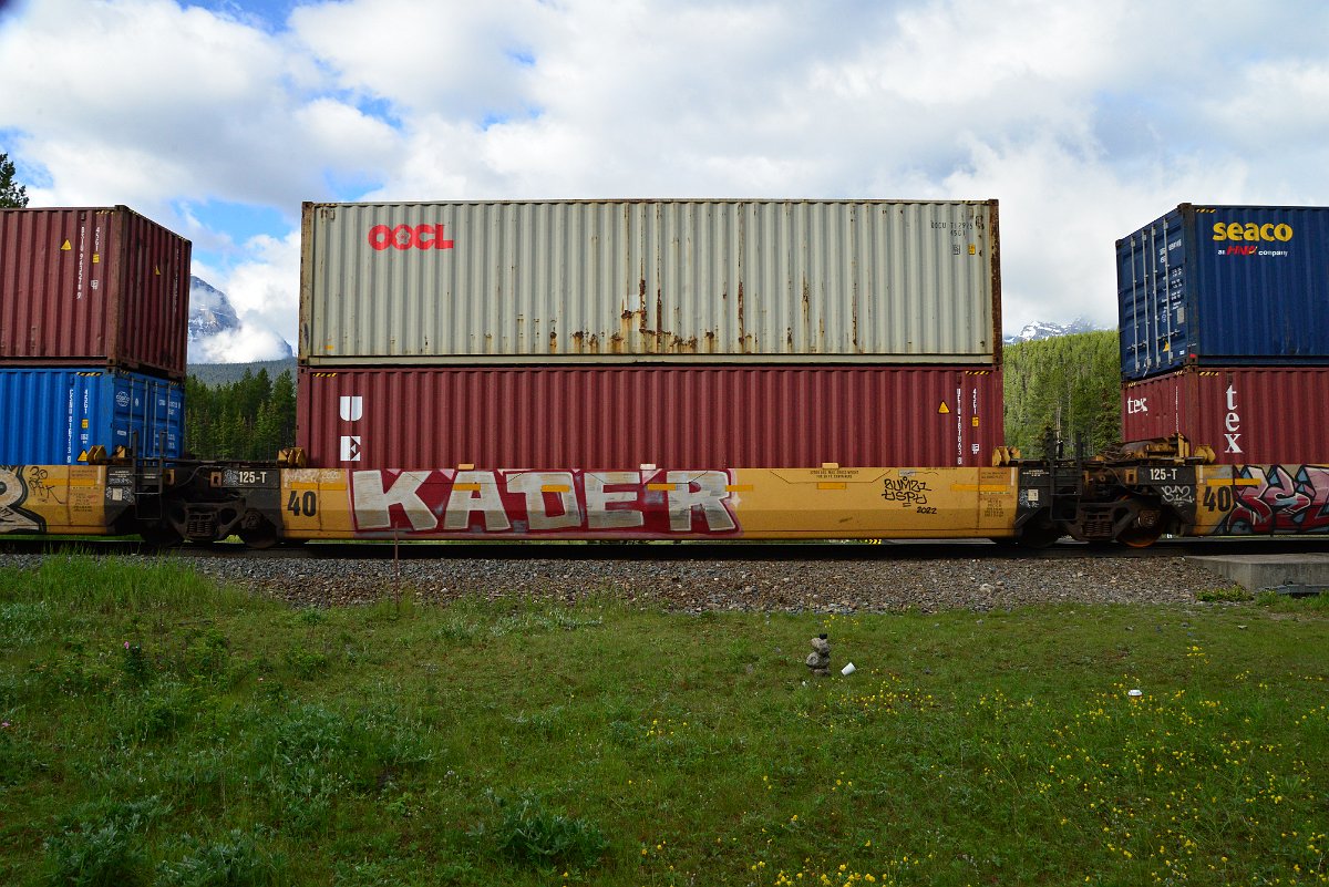 DSC_3278.JPG