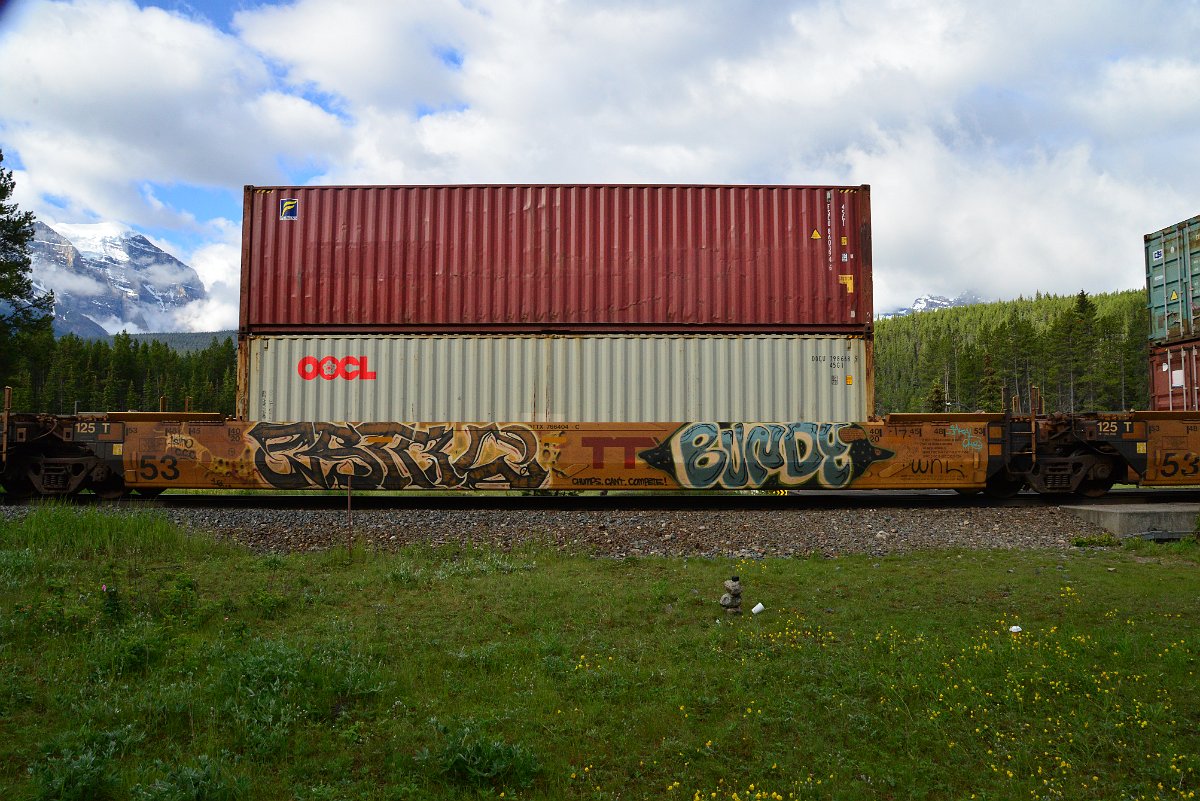 DSC_3286.JPG