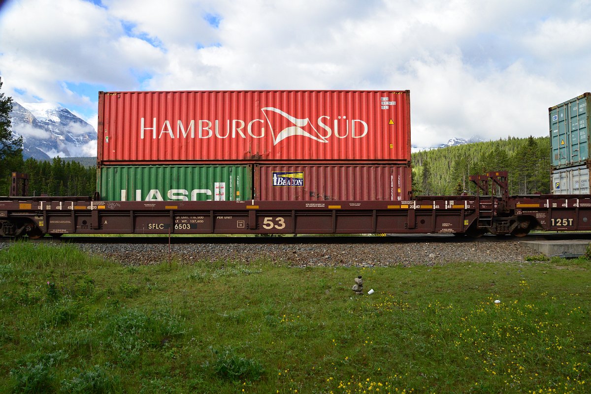 DSC_3293.JPG