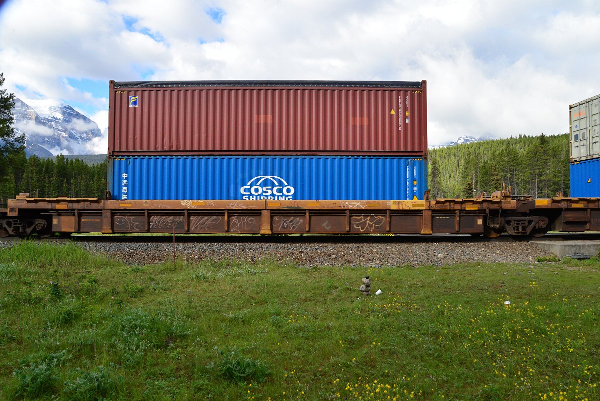 DSC_3296.JPG