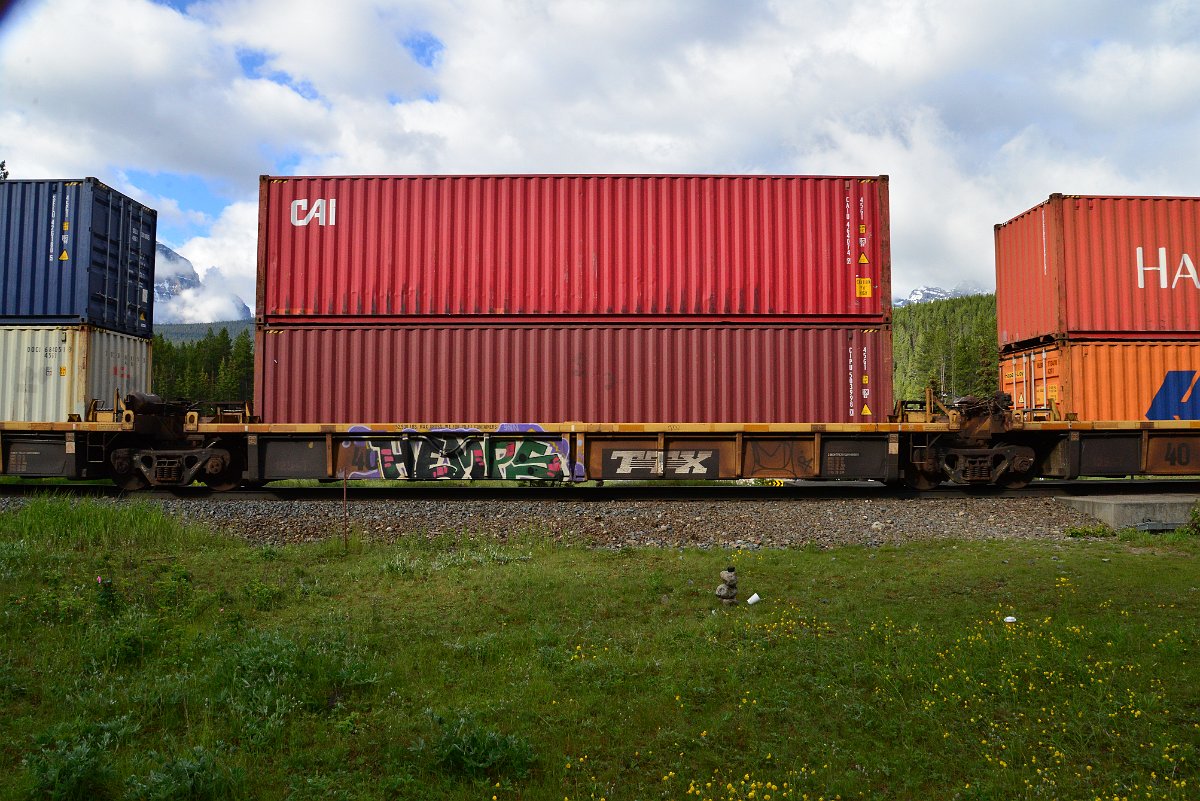 DSC_3301.JPG
