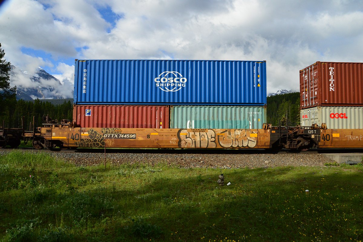 DSC_3352.JPG