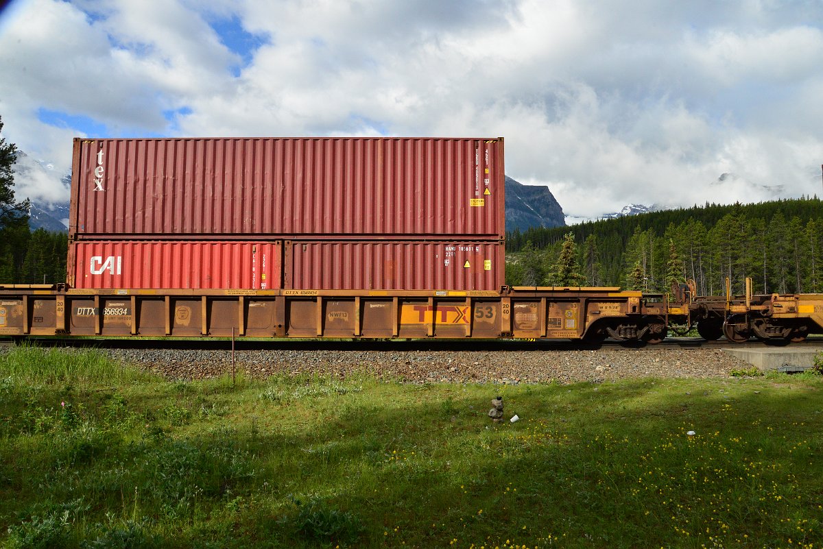 DSC_3355.JPG