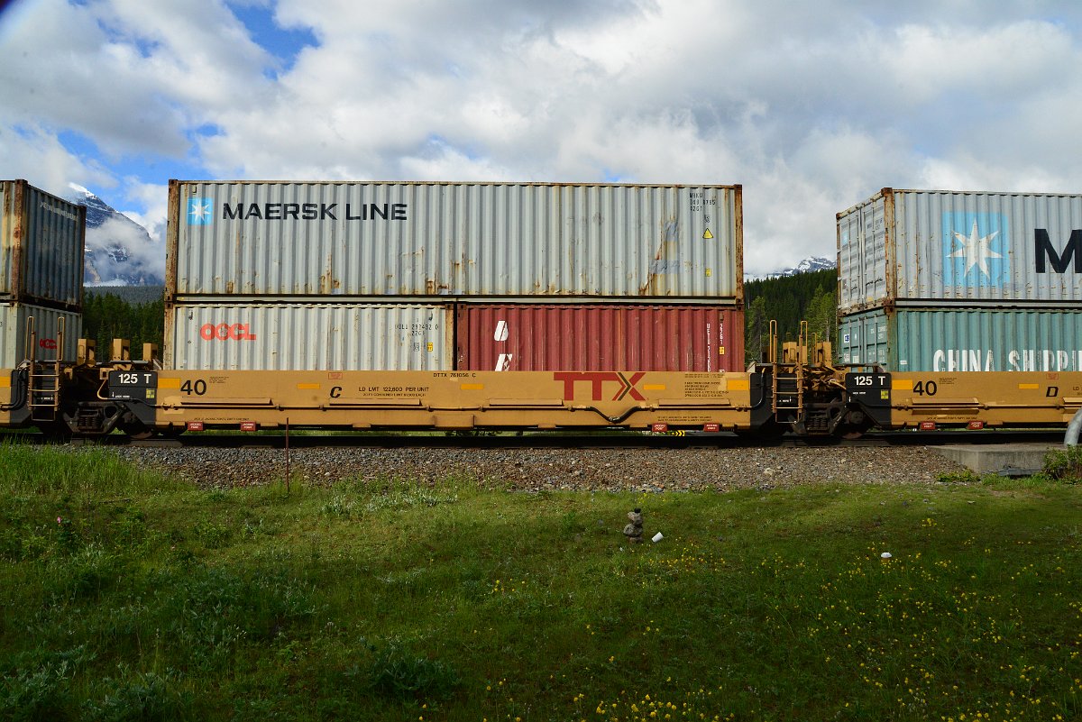 DSC_3368.JPG