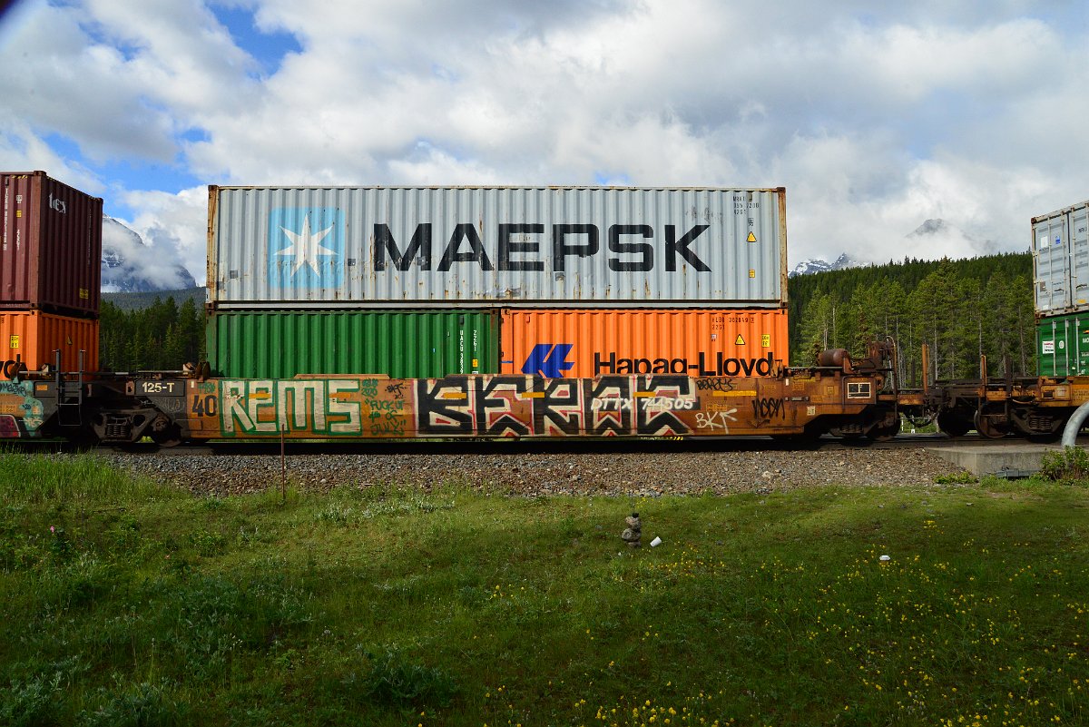 DSC_3374.JPG