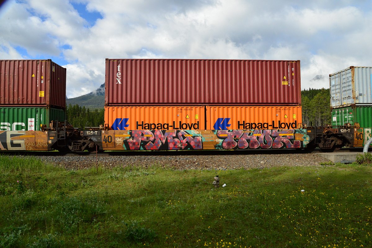 DSC_3375.JPG