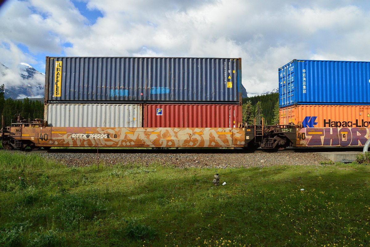 DSC_3378.JPG