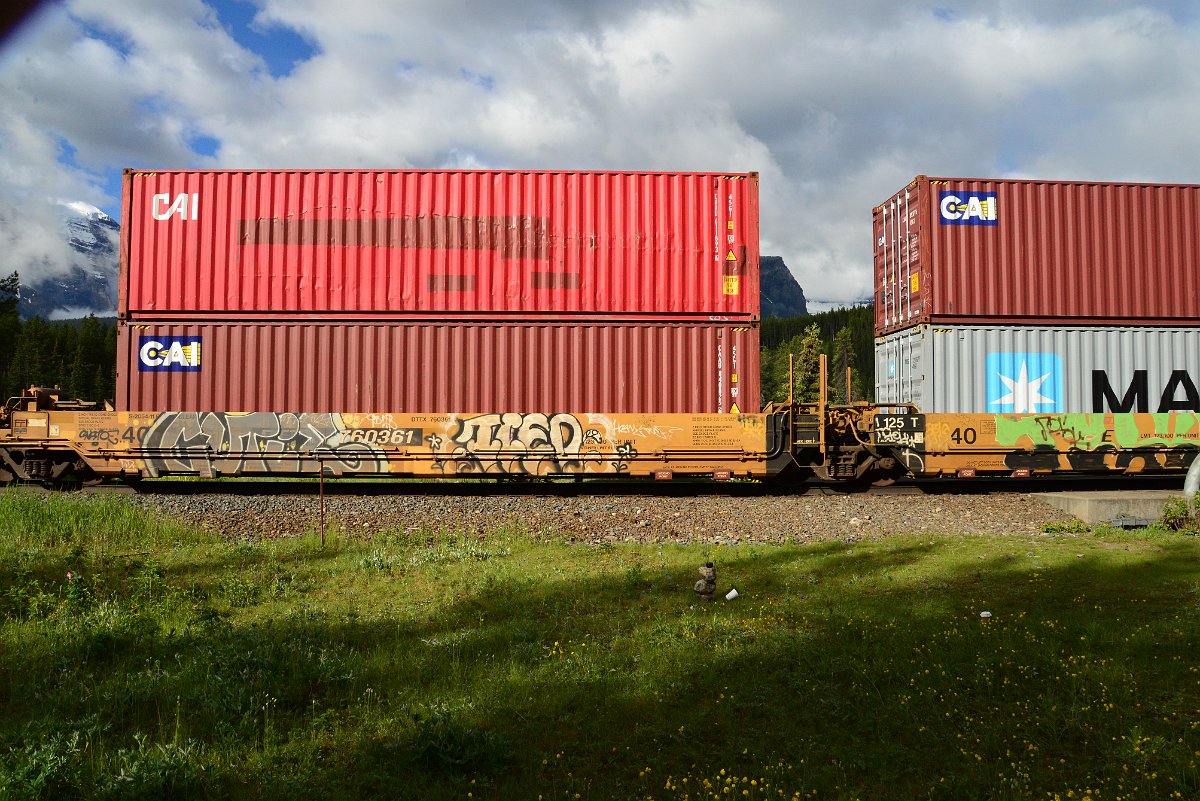 DSC_3392.JPG