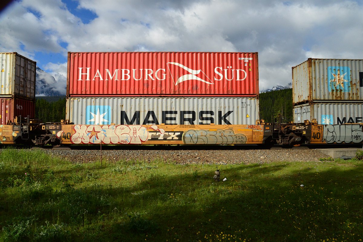 DSC_3397.JPG