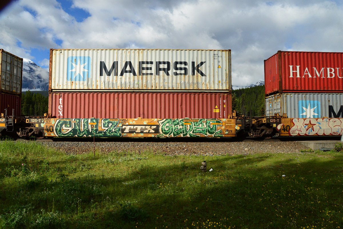 DSC_3398.JPG