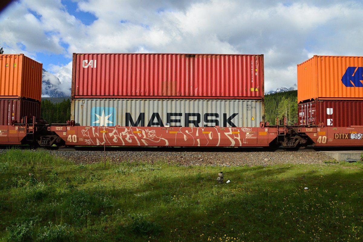 DSC_3407.JPG