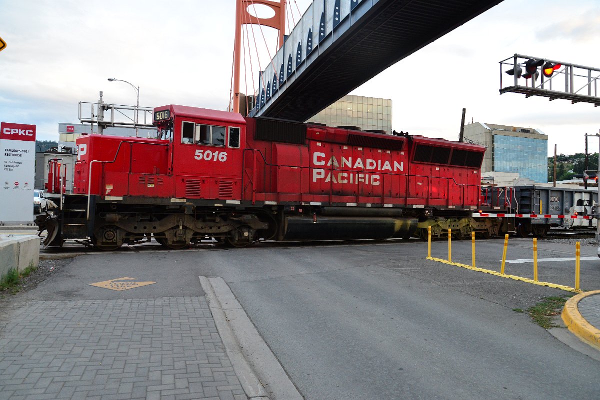DSC_3774.JPG