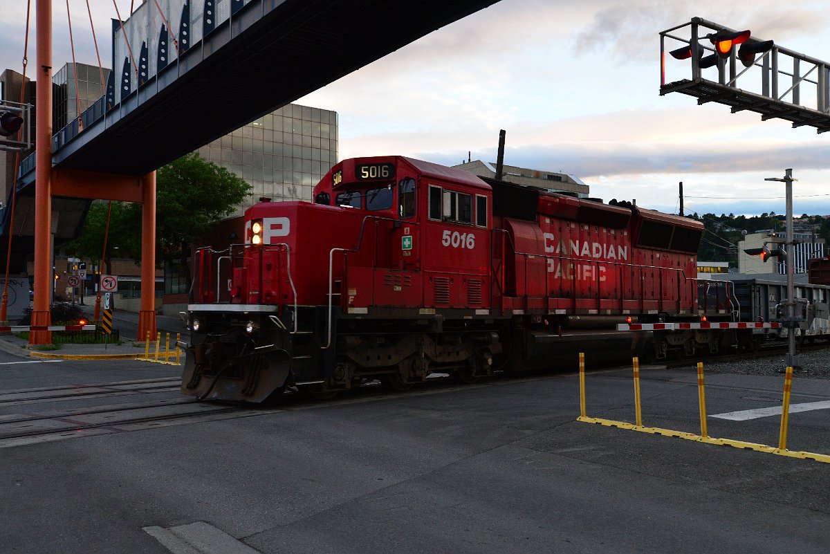 DSC_3775.JPG